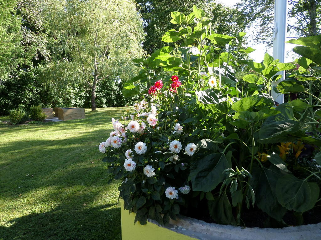 Skogis Bed & Breakfast Katrineholm Exterior foto