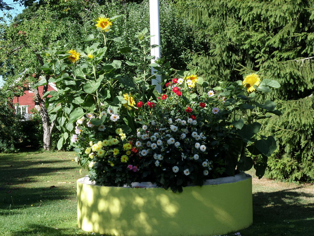 Skogis Bed & Breakfast Katrineholm Exterior foto