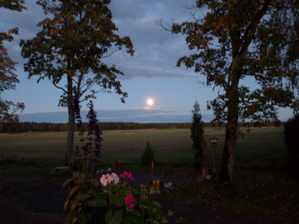 Skogis Bed & Breakfast Katrineholm Exterior foto